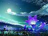 0d5ba150fec6453f43a7