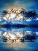 0d193547bd6bf4126a63
