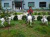DSC00718