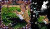 2009_04140062_