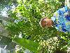 DSCN5850