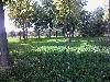 091016A010