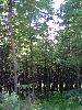 image20100725_083913