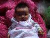 SANY0736