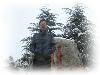 DSC06402_
