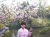 yangz 043