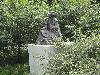 DSC00143