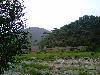 image20100719_162535