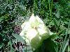 image20100725_103407
