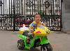 DSC009545
