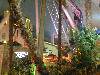 DSCN0316