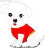 love  dog