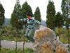 DSCN0186