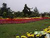 shuiyin1200809261455