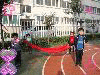 볡׼