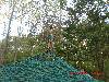 CIMG1657