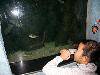 SANY0242