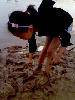IMG0036A