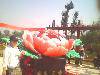 IMG0388A