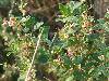 DSCF0841