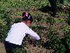 IMAGE_287