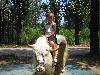 IMG_1982