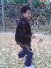 IMG0068A
