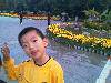 IMAGE_316