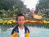IMAGE_317