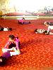 IMG1005155700