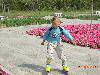 DSCN3068