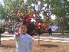 IMG0766A