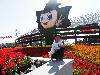 SDC11091