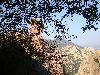 DSC00763