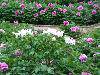 FILE0374