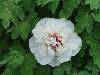 FILE0341