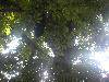 DSCN3740