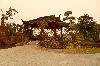SAM_1613
