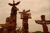 SAM_1568