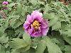 RIMG0079