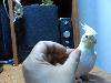 RIMG0206