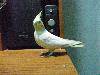 RIMG0211
