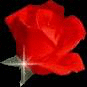 3fe1e6dd297a08d7b89e