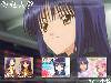1b6bcd769fc41305b151