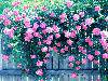 ʢңԶķҷ