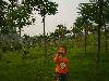 IMGP0993