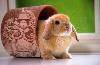 IMG0054A_