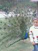 IMG0029A