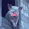 ˭