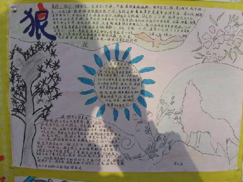 "狼"来了(优秀手抄报展)